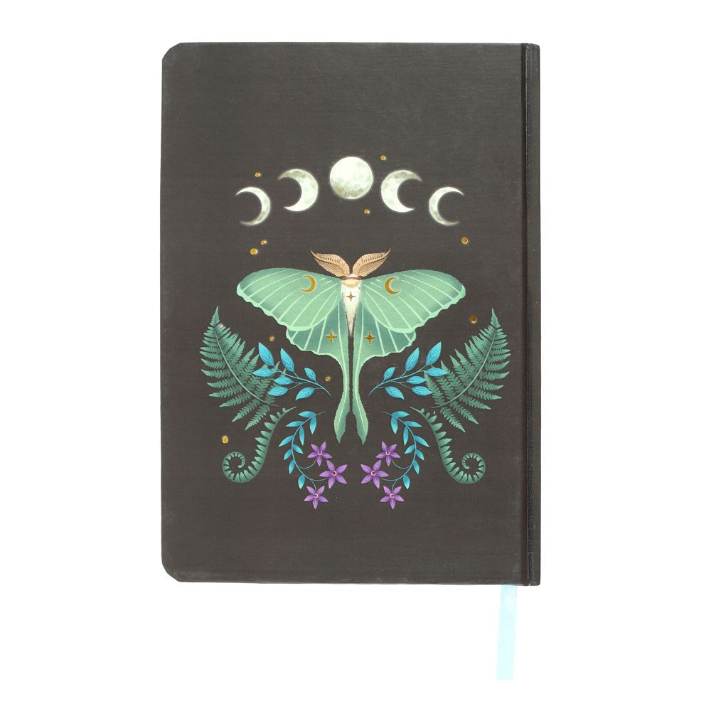 Quaderno A5 a righe Luna Moth con bordi dorati