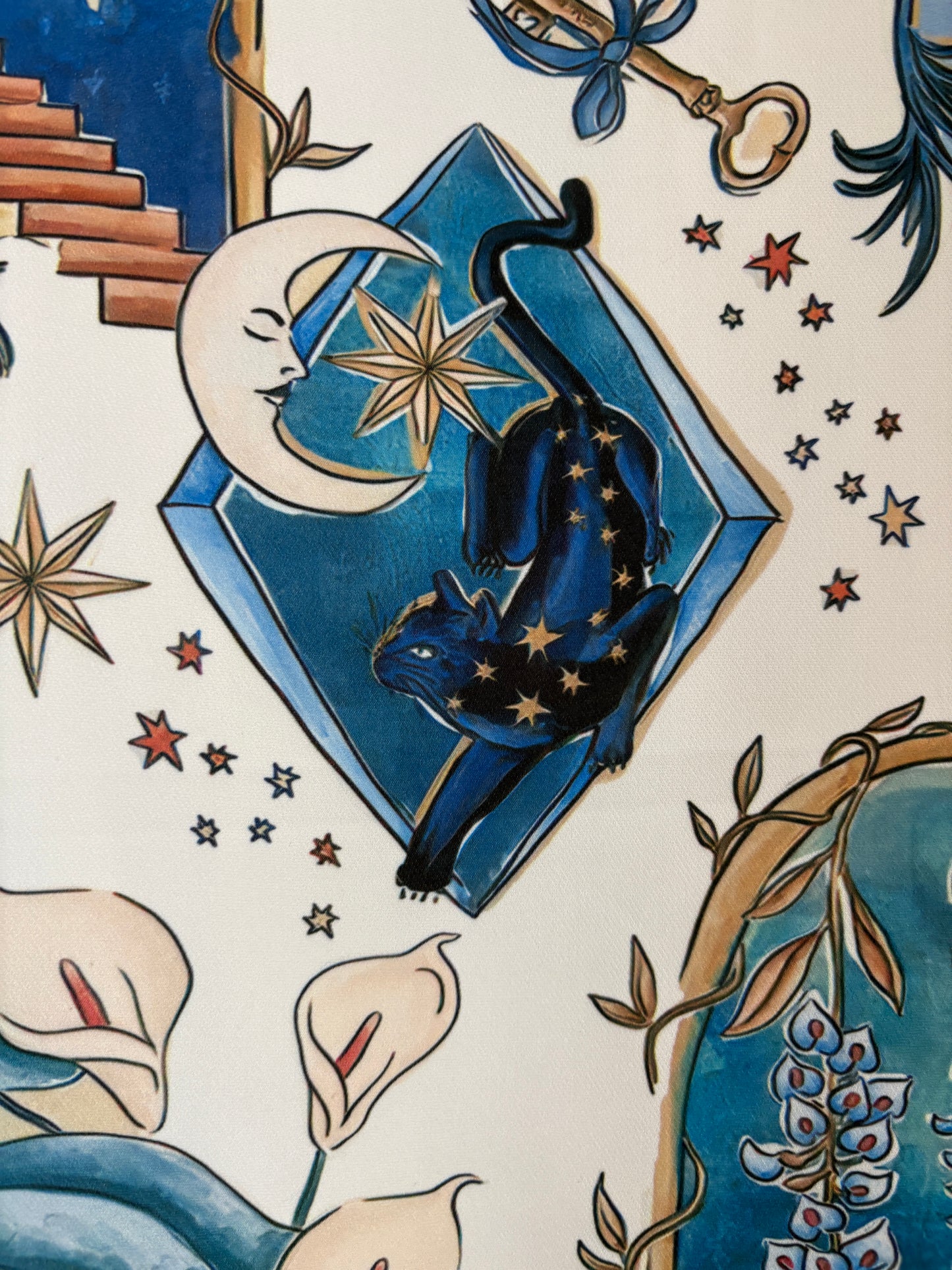 Blazer Cosmic Journey