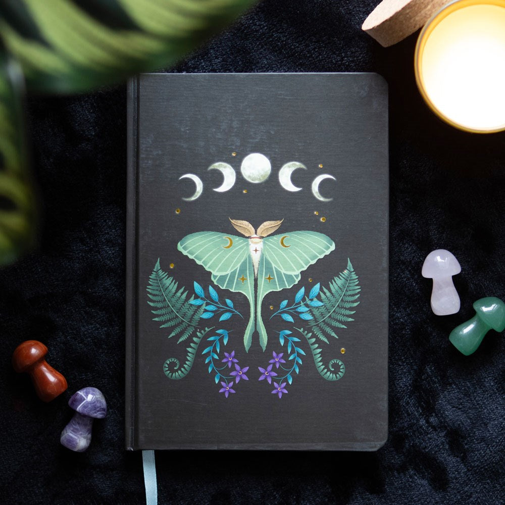 Quaderno A5 a righe Luna Moth con bordi dorati