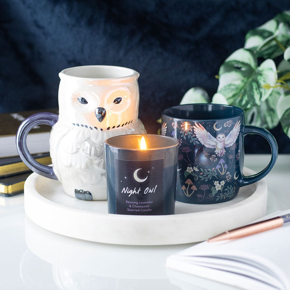 Tazza in Ceramica "Night Flight" con Gufi e Mezzelune – 320 ml