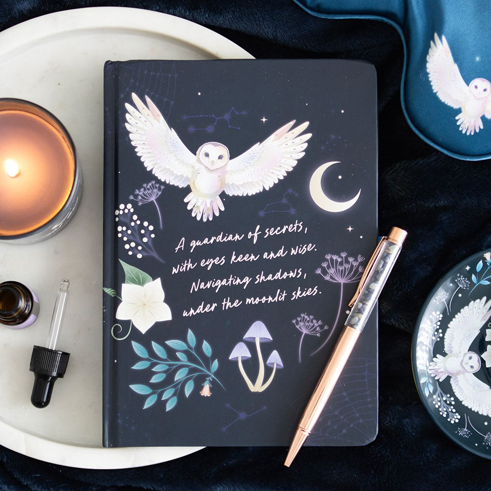 PREORDINE (Disponibile dal 27 Agosto) Diario Gotico A5 “Night Owl” con Penna in Sodalite – Taccuino con Bordi Dorati