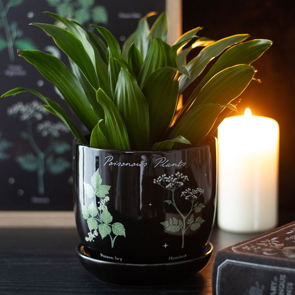 Vaso in Ceramica "Venom and Vines" con Piante Velenose