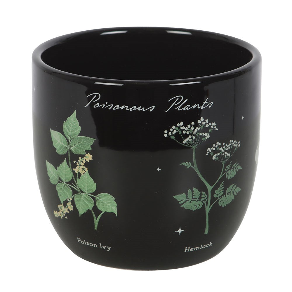 Vaso in Ceramica "Venom and Vines" con Piante Velenose
