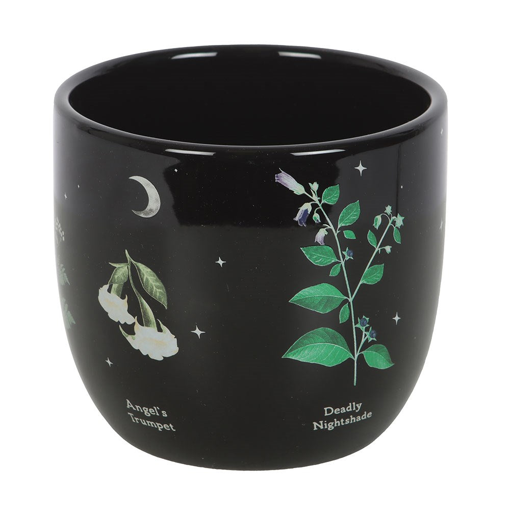 Vaso in Ceramica "Venom and Vines" con Piante Velenose