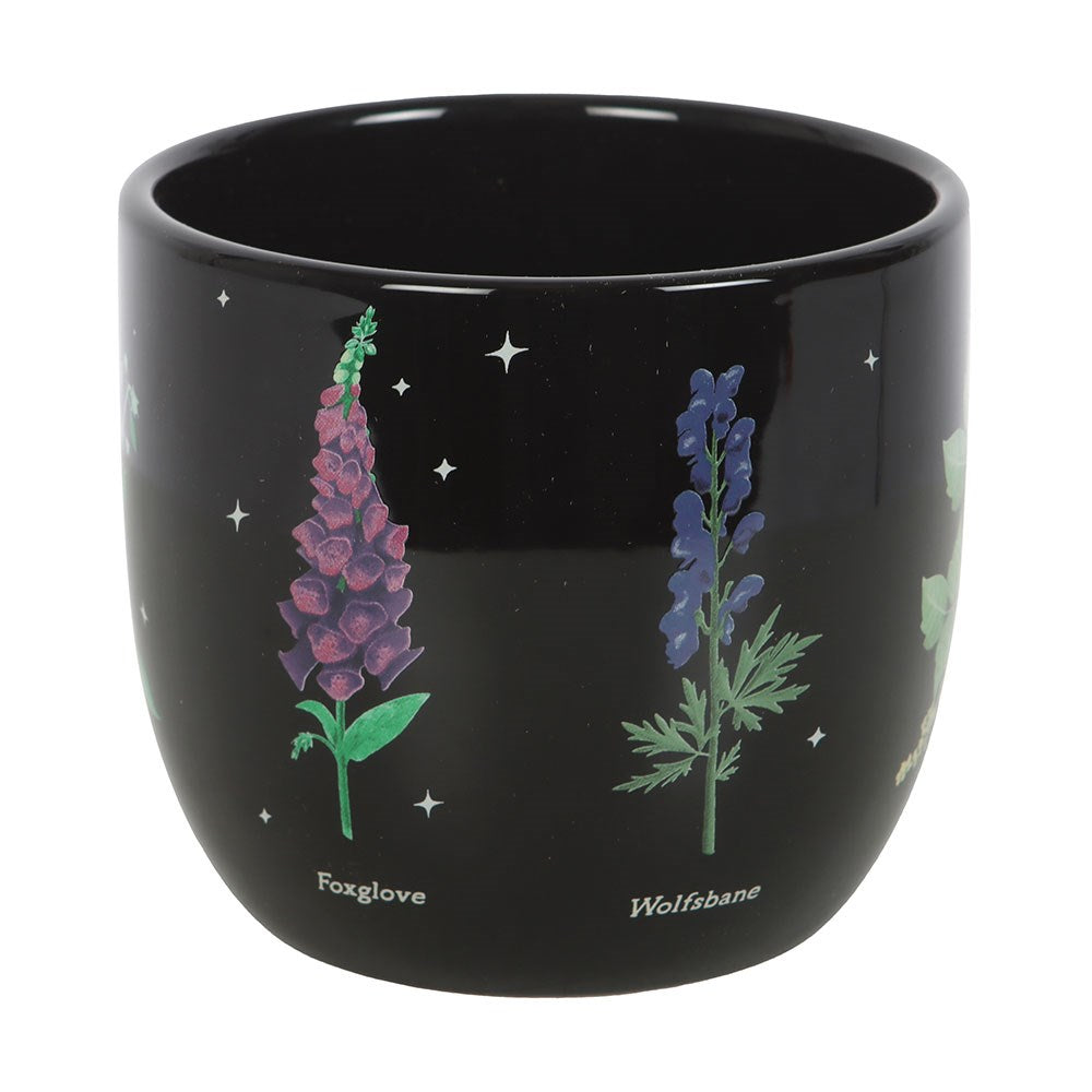 Vaso in Ceramica "Venom and Vines" con Piante Velenose